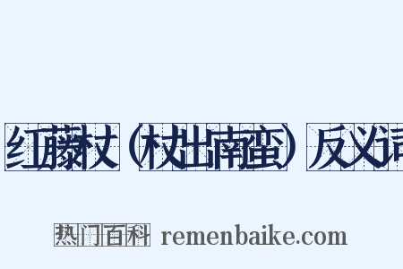 红藤杖（杖出南蛮）反义词是什么意思的图片
